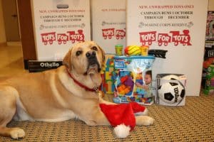 Toys for Tots submission at Signature Homes