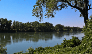 American River Parkway