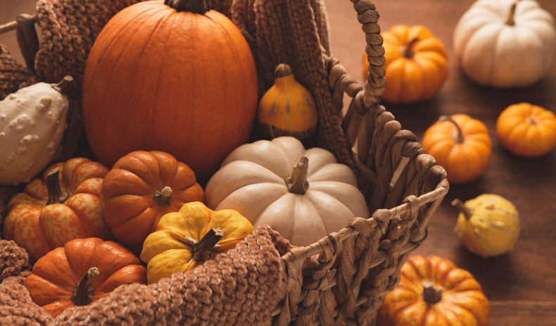 Pumpkin in a Basket