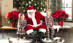 Holiday, Signature Homes