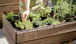 New Homes River Islands, Signature Homes